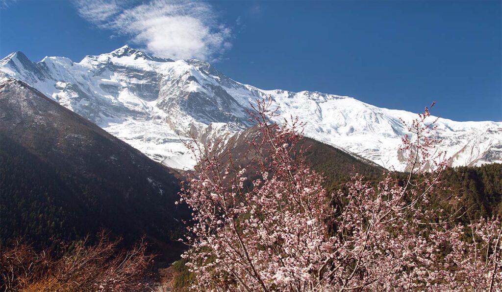 best climbing peaks in nepal for spring
