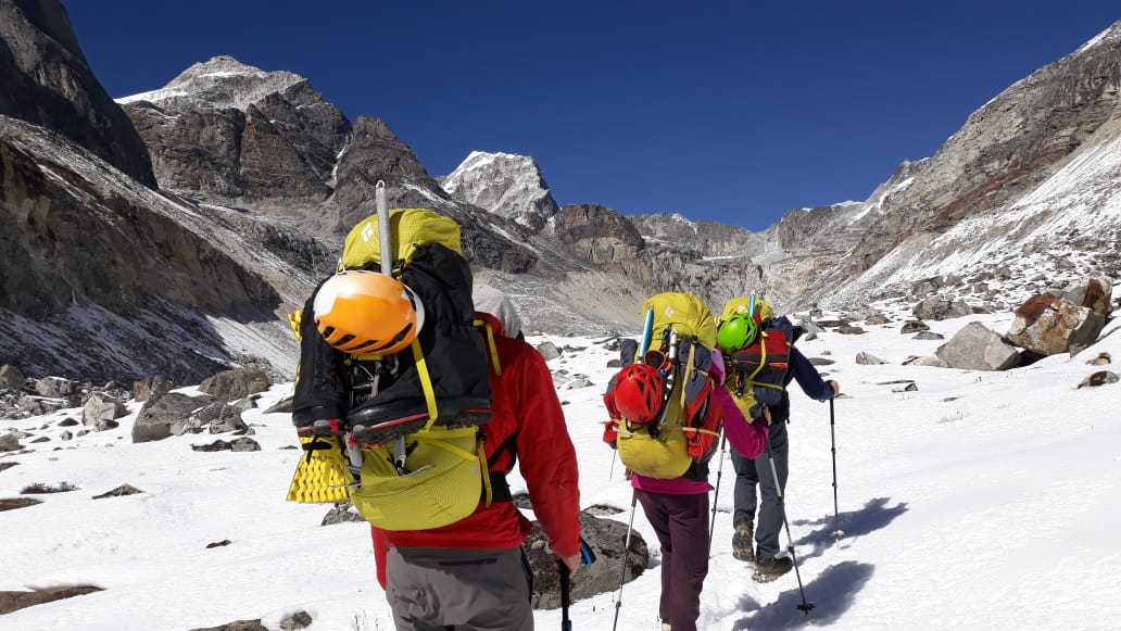 Trekking Poles 